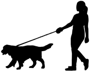 balade_canine2
